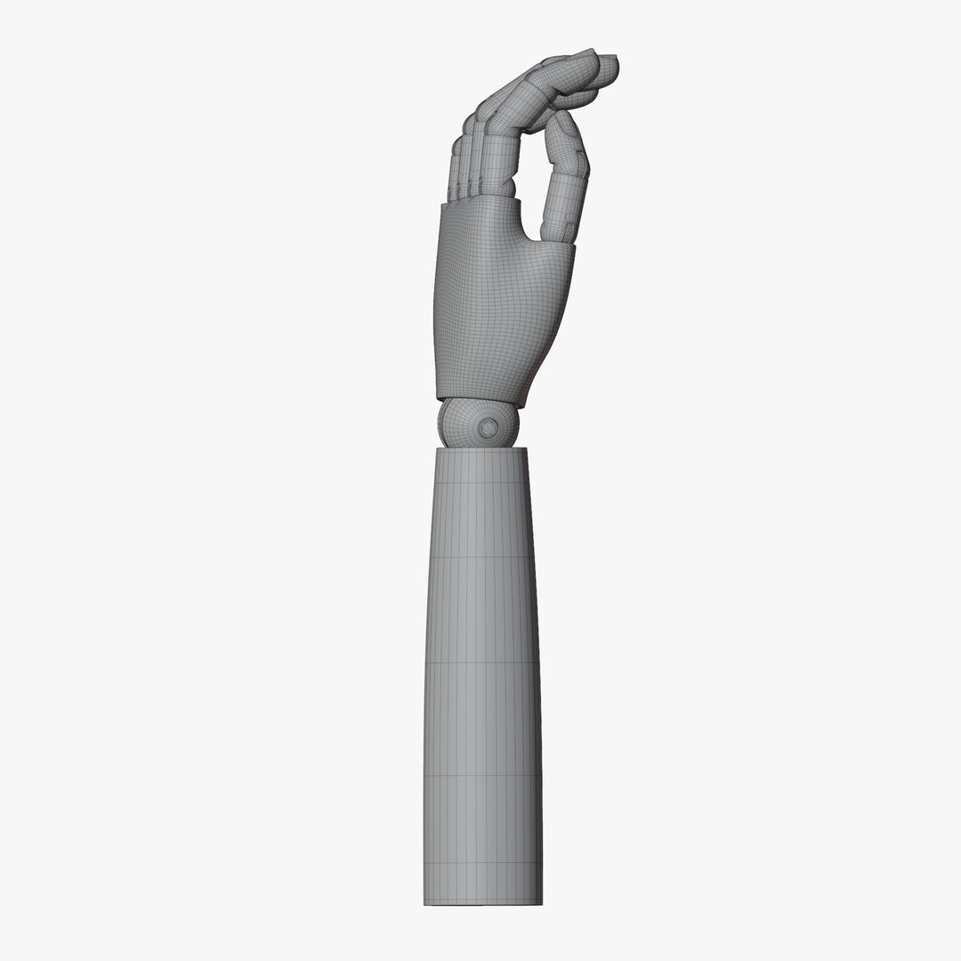 Wooden Arm 3D Model - TurboSquid 2235383