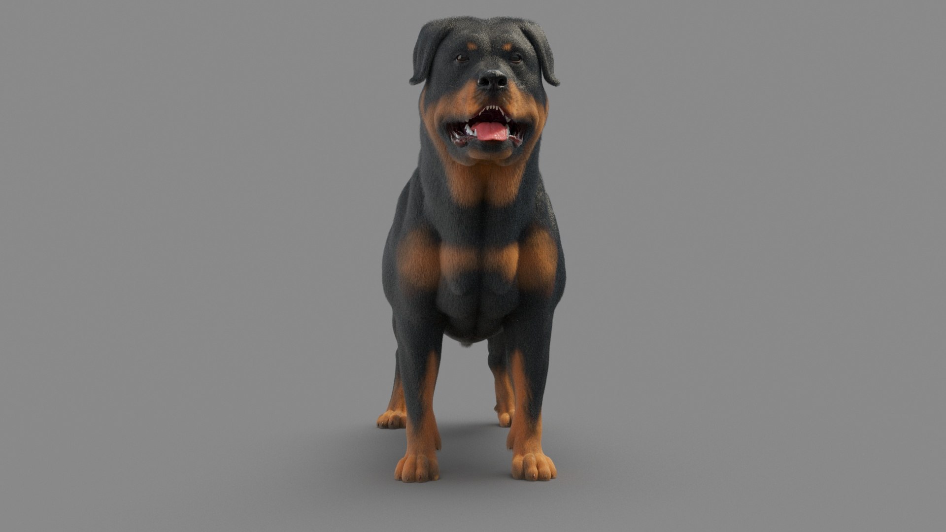 Dog Rottweiler 3D Model - TurboSquid 1675338