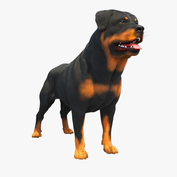 is the rottweiler legal in cayman islands