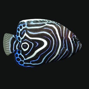 Juvem Fish
