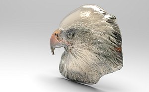bald eagle relief