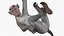 Rhesus Macaque Monkey Gray Rigged 3D model