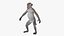 Rhesus Macaque Monkey Gray Rigged 3D model