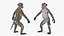 Rhesus Macaque Monkey Gray Rigged 3D model