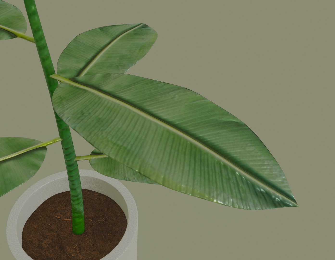 3D model white plant pot https://p.turbosquid.com/ts-thumb/Q8/pagUz7/0MdAAneE/screenshot20200819at1.17.39pm/png/1598389464/1920x1080/fit_q87/ee986b908f99af43dfb38d67a0b007423120a62d/screenshot20200819at1.17.39pm.jpg