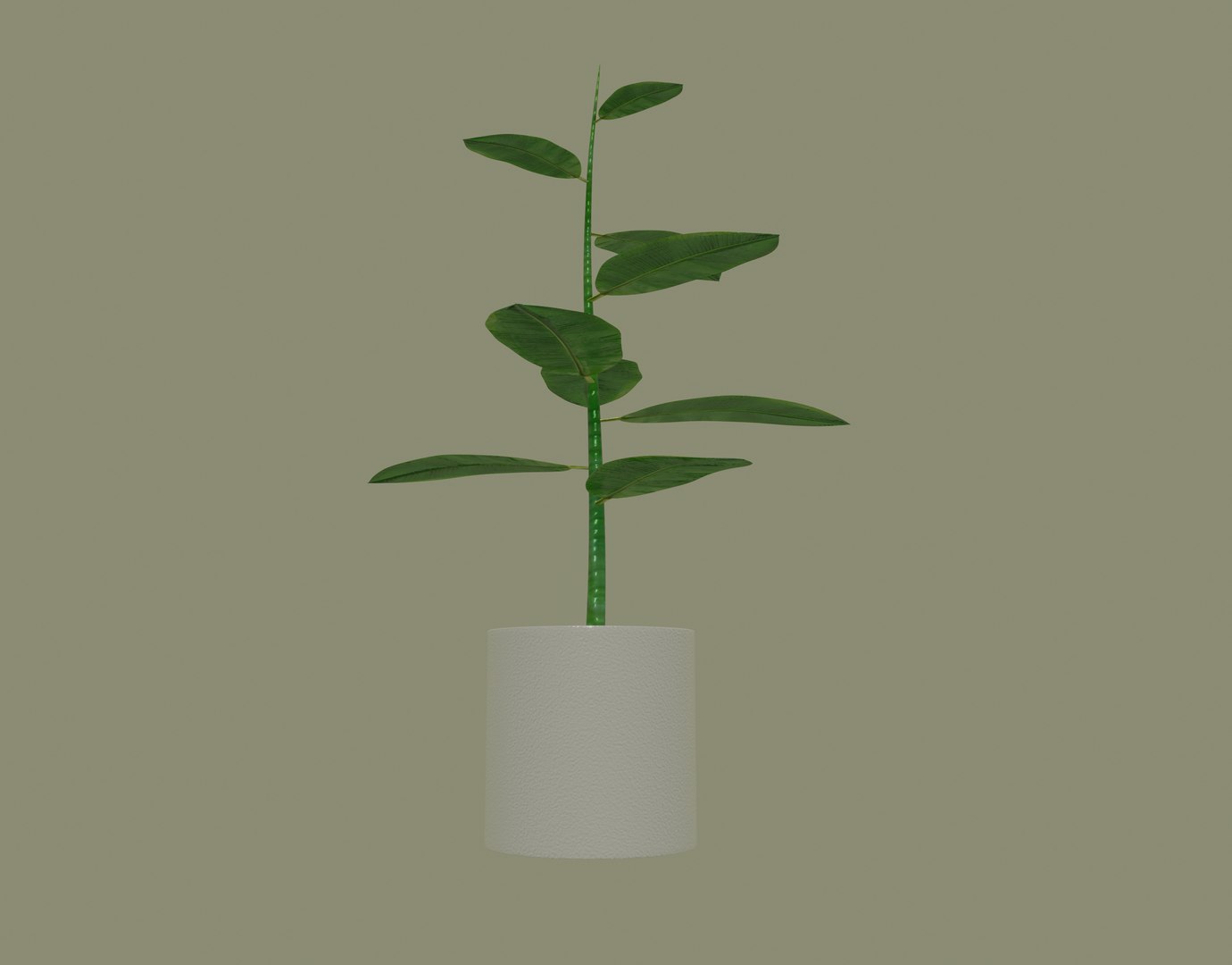 3D model white plant pot https://p.turbosquid.com/ts-thumb/Q8/pagUz7/48F6x9q2/screenshot20200819at1.16.59pm/png/1598389345/1920x1080/fit_q87/8900769405984690aa0f6b4b291023925f800e65/screenshot20200819at1.16.59pm.jpg