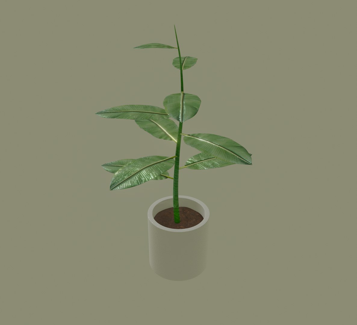 3D model white plant pot https://p.turbosquid.com/ts-thumb/Q8/pagUz7/Ag8w5qcw/screenshot20200819at1.17.09pm/png/1598389378/1920x1080/fit_q87/8cd3164b29d11d7cb4ebc9d8f806976b1b6ccd9c/screenshot20200819at1.17.09pm.jpg
