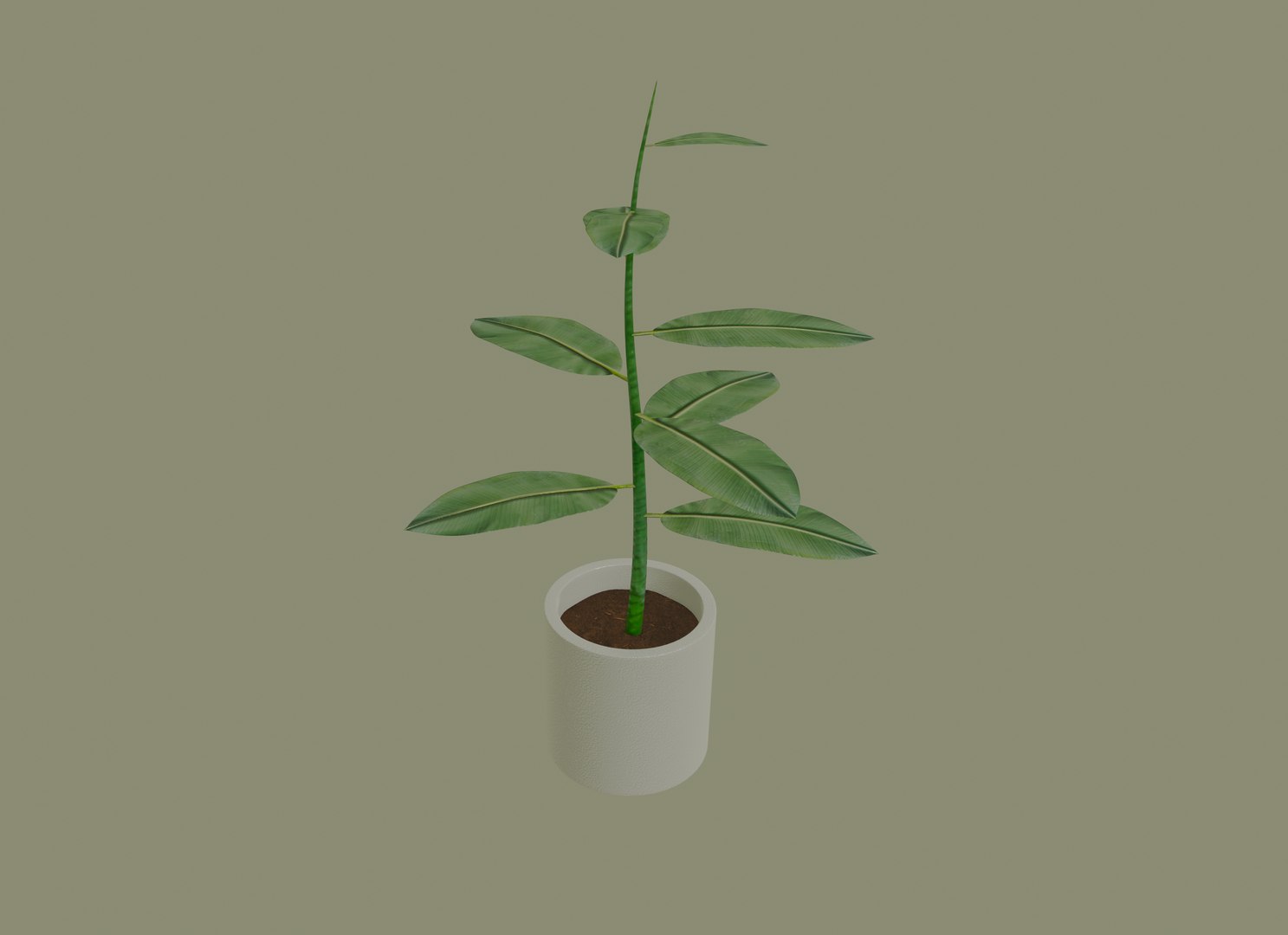 3D model white plant pot https://p.turbosquid.com/ts-thumb/Q8/pagUz7/B7bn8jfV/screenshot20200819at1.16.35pm/png/1598389327/1920x1080/fit_q87/329be22ca8a70b01f50d61c55e30eb62a134139b/screenshot20200819at1.16.35pm.jpg