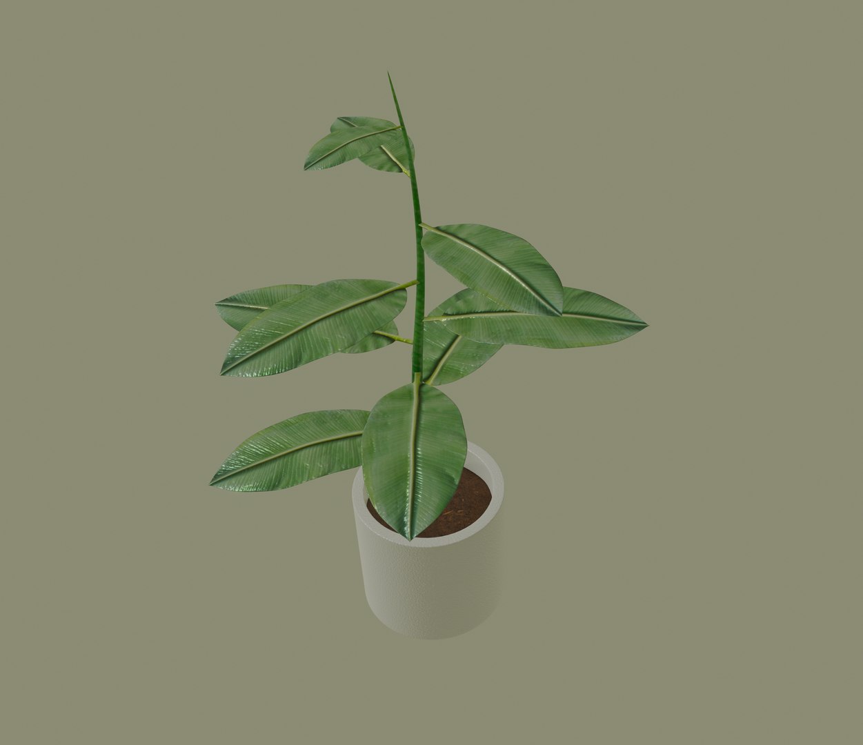 3D model white plant pot https://p.turbosquid.com/ts-thumb/Q8/pagUz7/VhTyD96m/screenshot20200819at1.17.04pm/png/1598389379/1920x1080/fit_q87/88db341b81c4e50b52bf8d8cb76153774ac3a01d/screenshot20200819at1.17.04pm.jpg