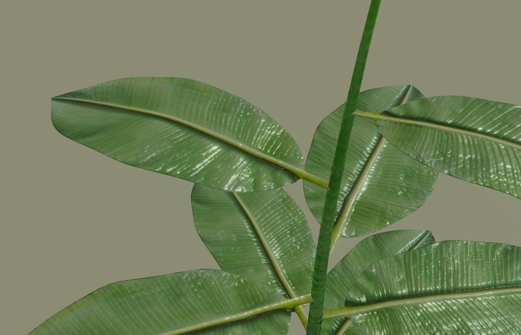 3D model white plant pot https://p.turbosquid.com/ts-thumb/Q8/pagUz7/XpzGdOZ6/screenshot20200819at1.17.45pm/png/1598389456/1920x1080/fit_q87/195b114f2ed19eda60b9b15c447cf9602bd1e499/screenshot20200819at1.17.45pm.jpg