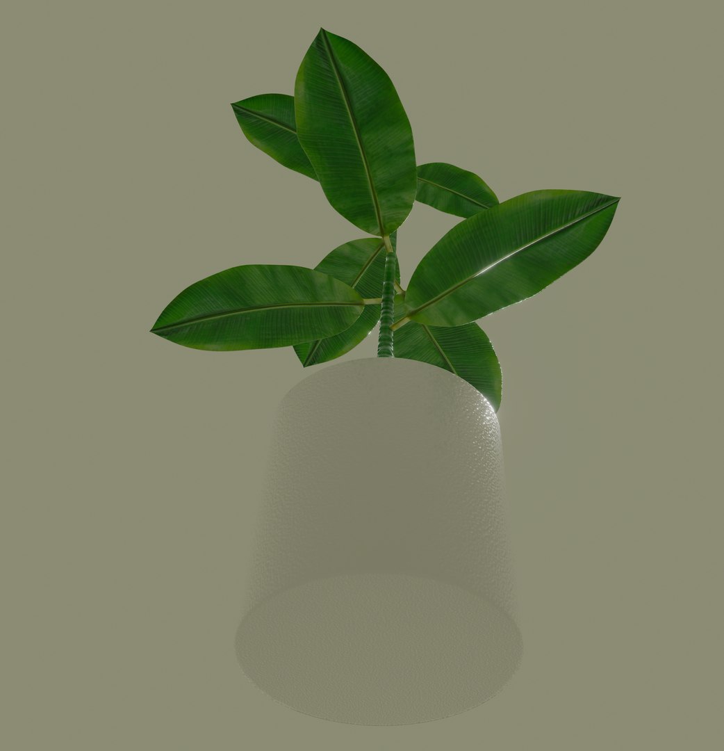 3D model white plant pot https://p.turbosquid.com/ts-thumb/Q8/pagUz7/e4UHJGZf/screenshot20200819at1.17.14pm/png/1598389415/1920x1080/fit_q87/0614721946f570bf536de4a904dac96b198ab4b1/screenshot20200819at1.17.14pm.jpg