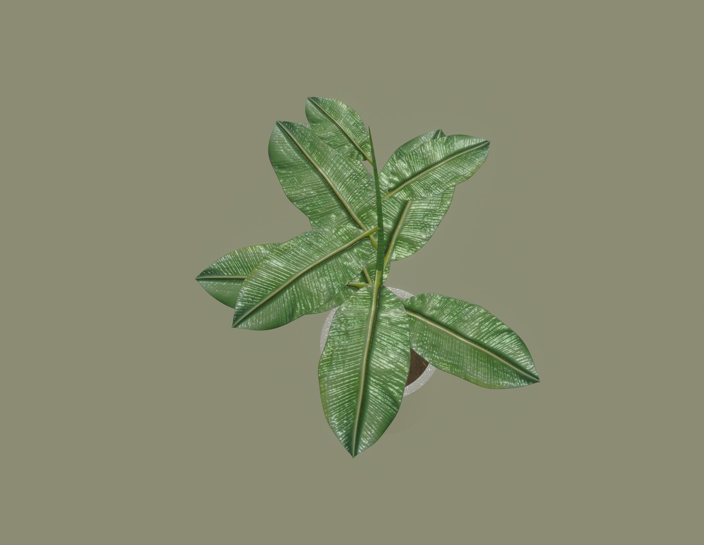 3D model white plant pot https://p.turbosquid.com/ts-thumb/Q8/pagUz7/y2RSYTcl/screenshot20200819at1.17.11pm/png/1598389369/1920x1080/fit_q87/bba2b9ff0a680879edfaa6f4b99ce8785d36e764/screenshot20200819at1.17.11pm.jpg