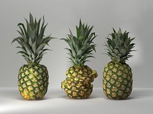 Pineapples