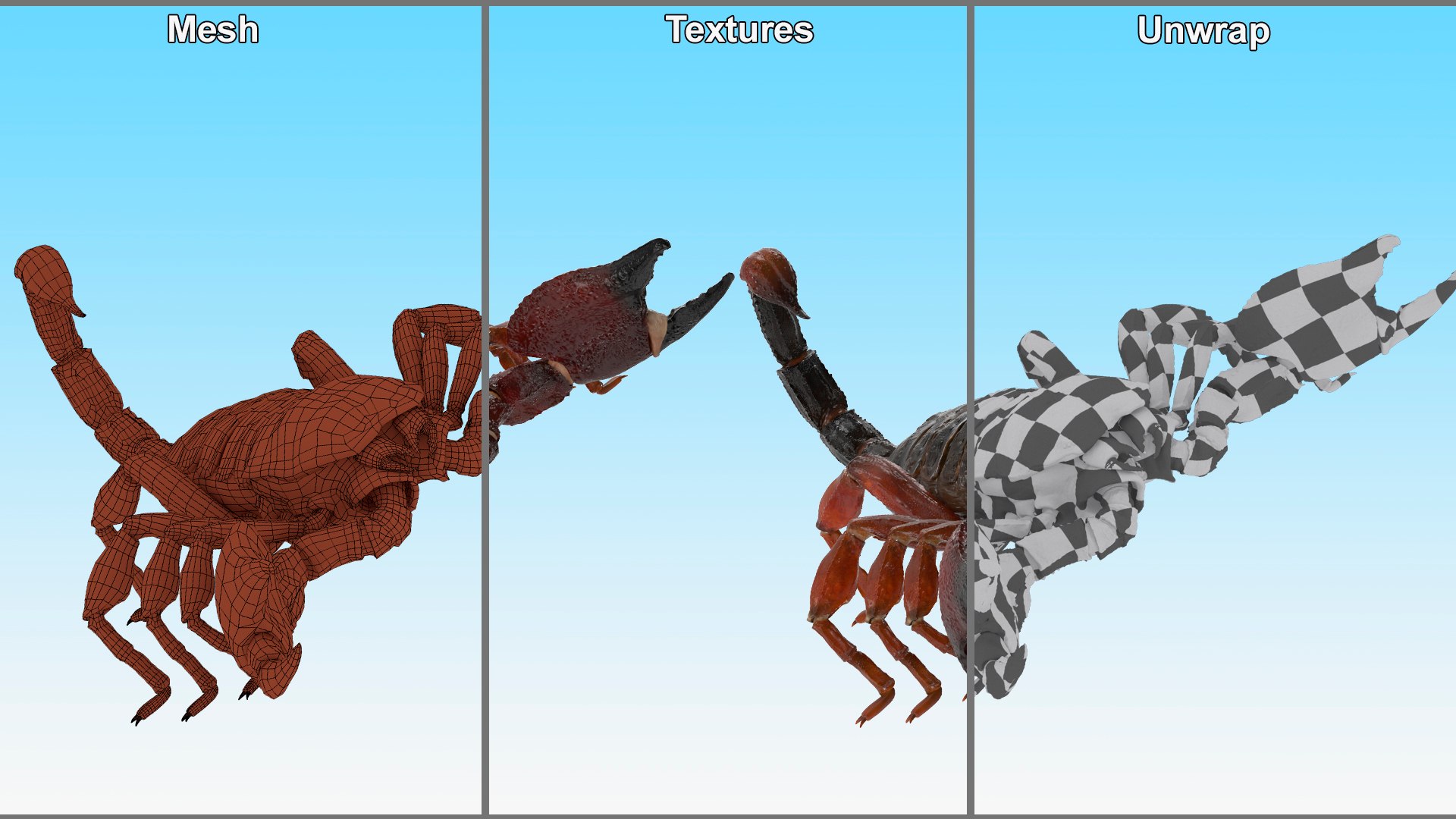 3D Realistic Scorpion Strikes Animated Rigged for Cinema 4D model https://p.turbosquid.com/ts-thumb/Q9/2E4ThD/qU/realistic_scorpion_strikes_animated_rigged_013/jpg/1759469494/1920x1080/fit_q87/01992c31fe8d424fde67aa7cb731e8f9eca794bb/realistic_scorpion_strikes_animated_rigged_013.jpg