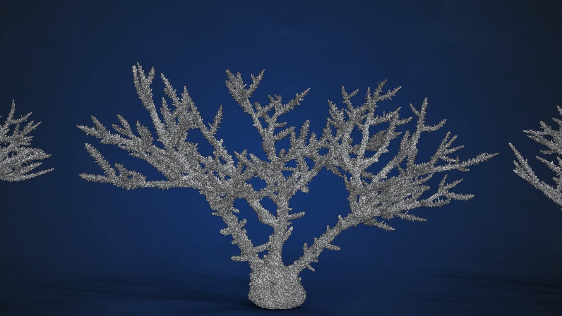 3D Corals Collection https://p.turbosquid.com/ts-thumb/Q9/Rk1WMB/0E/ju0l521a0_antlercoral01_wire01/png/1671969529/1920x1080/fit_q87/b2a713b0af6bf4eec89219f8ec8970cba37273af/ju0l521a0_antlercoral01_wire01.jpg