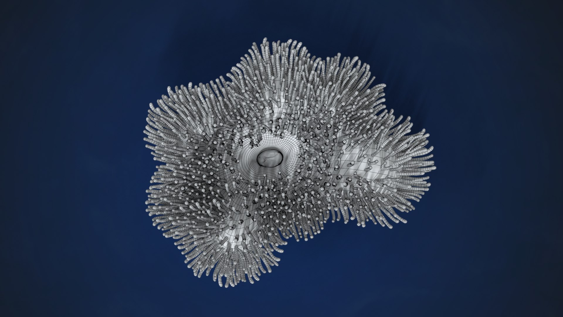 3D Corals Collection https://p.turbosquid.com/ts-thumb/Q9/Rk1WMB/5j/ju0l521a0_actinia01_wire02/png/1671969343/1920x1080/fit_q87/f89ea5314e31999482b0dc728c9864b855b0e9ef/ju0l521a0_actinia01_wire02.jpg