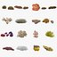 3D Corals Collection
