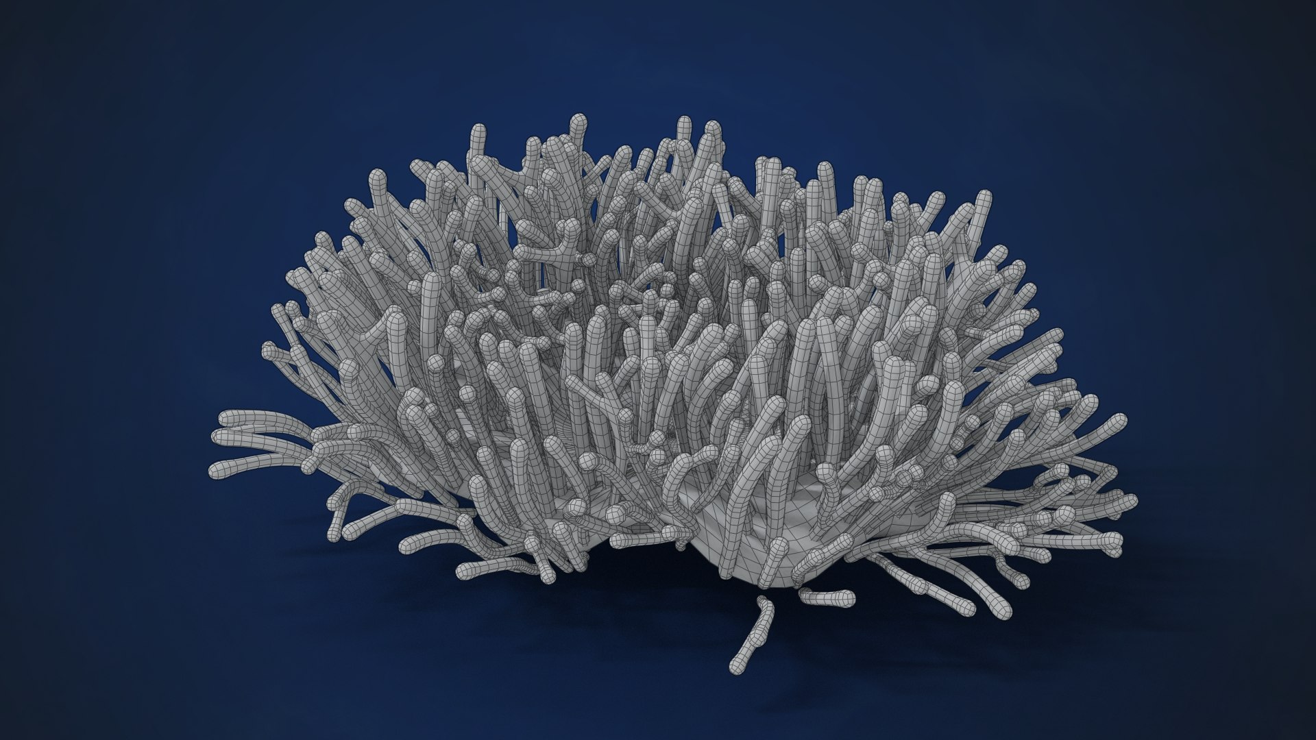 3D Corals Collection https://p.turbosquid.com/ts-thumb/Q9/Rk1WMB/av/ju0l521a0_actinia04_wire01/png/1671969460/1920x1080/fit_q87/0de1d1a6bb72a8e59af2f4bd90b3e695fb1d274e/ju0l521a0_actinia04_wire01.jpg
