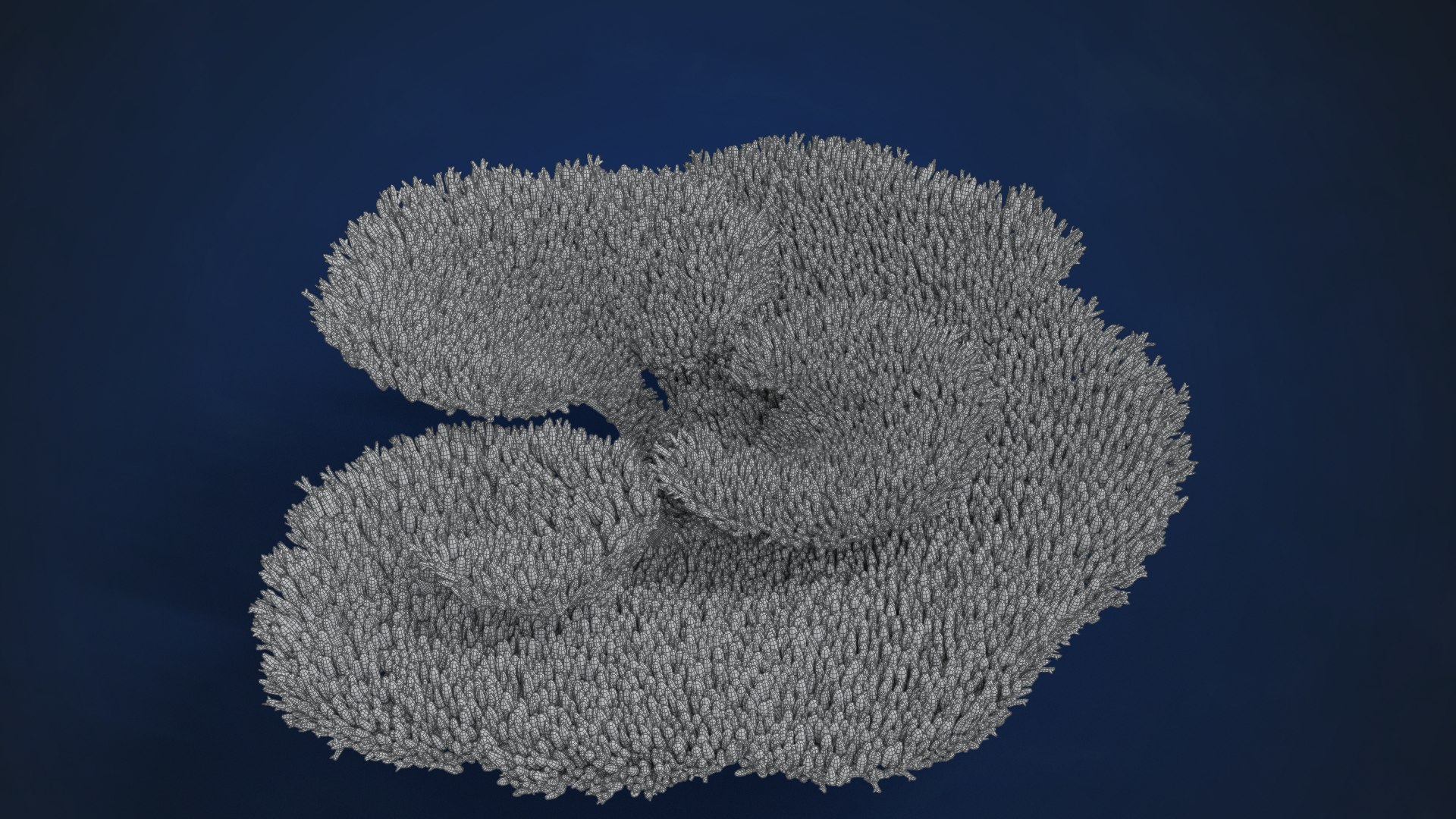 3D Corals Collection https://p.turbosquid.com/ts-thumb/Q9/Rk1WMB/m2/ju0l521a0_acroporaclathrata02_wire01/png/1671969564/1920x1080/fit_q87/9e4ea82e7233da3251f5ab9d826dccb8bcae00c8/ju0l521a0_acroporaclathrata02_wire01.jpg