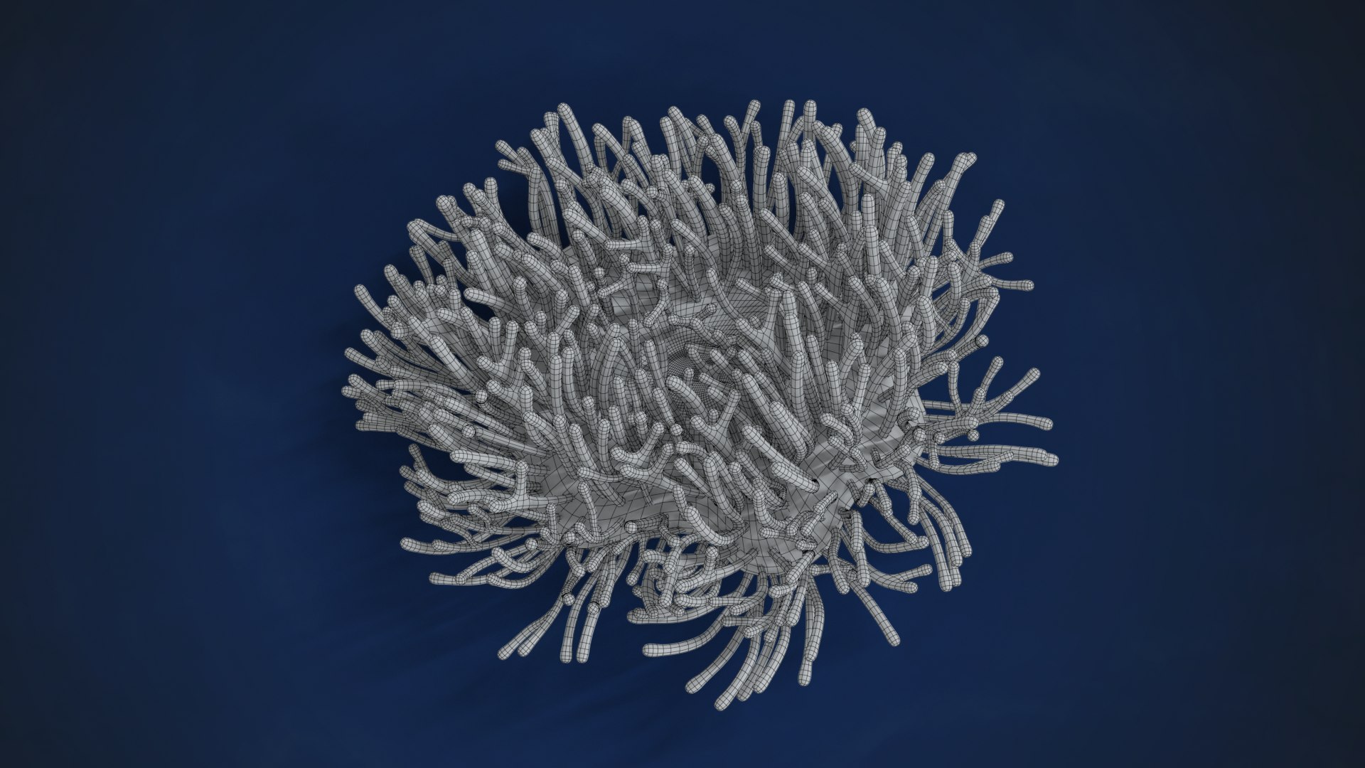 3D Corals Collection https://p.turbosquid.com/ts-thumb/Q9/Rk1WMB/mS/ju0l521a0_actinia04_wire02/png/1671969477/1920x1080/fit_q87/33ba8d26bce0cf0614b3a6e67e22218f8e9aab73/ju0l521a0_actinia04_wire02.jpg