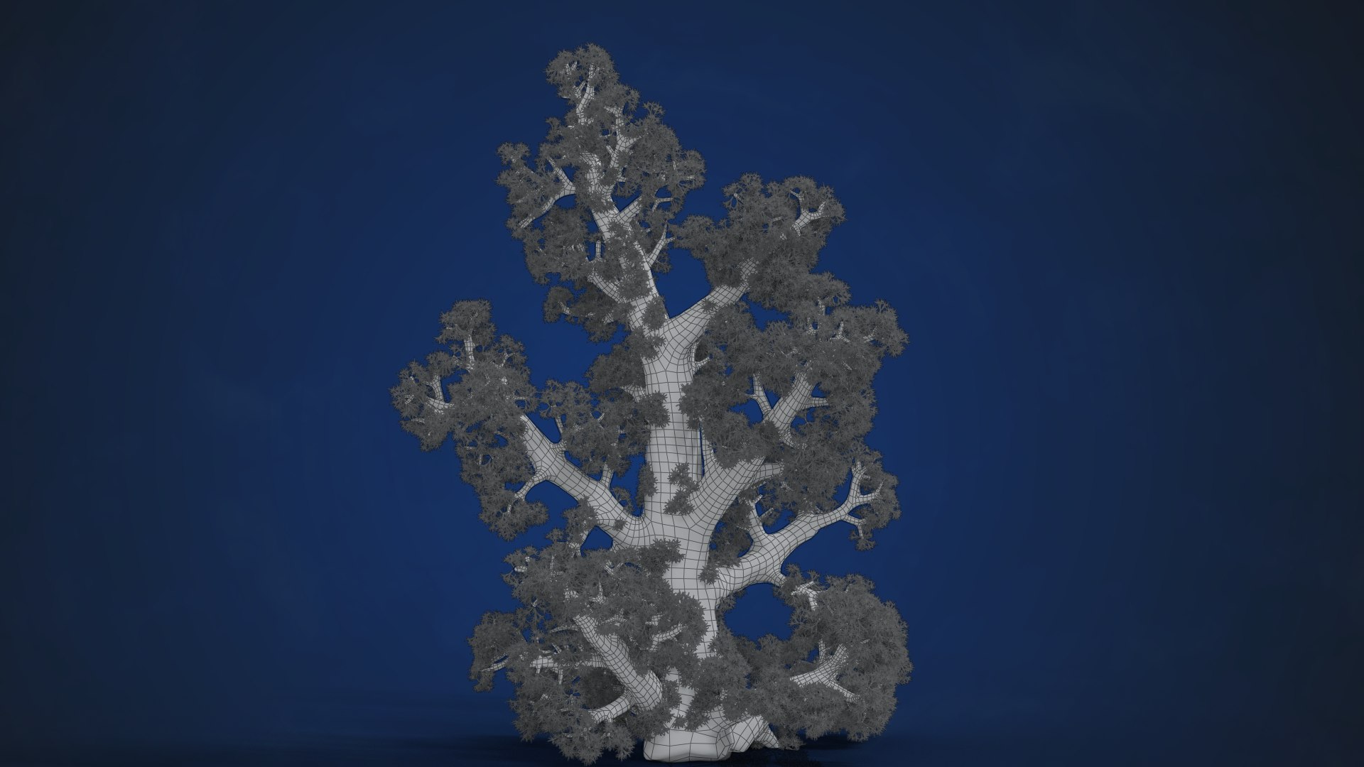 3D Corals Collection https://p.turbosquid.com/ts-thumb/Q9/Rk1WMB/qF/ju0l521a0_dendronephthya04_wire01/png/1671969180/1920x1080/fit_q87/87b9129cbda6cad2f6853cd6009ed4af9cd6992d/ju0l521a0_dendronephthya04_wire01.jpg