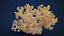 3D Corals Collection
