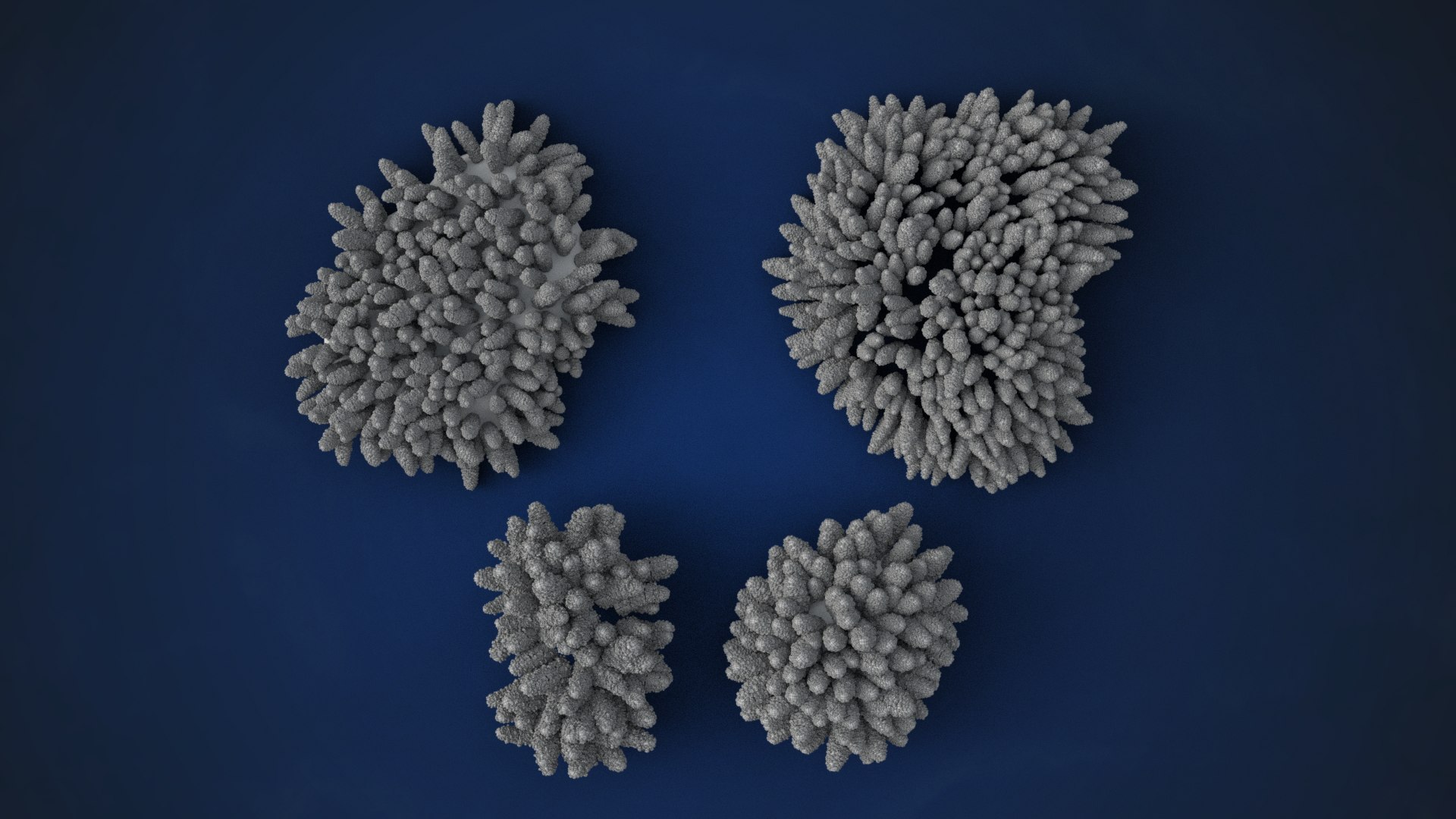3D Corals Collection https://p.turbosquid.com/ts-thumb/Q9/Rk1WMB/yH/ju0l521a0_acroporaaustera_06_08_16_17_wire02/png/1671969739/1920x1080/fit_q87/180d4adb57a0fe8ccff6c9ed68b52a260b631056/ju0l521a0_acroporaaustera_06_08_16_17_wire02.jpg