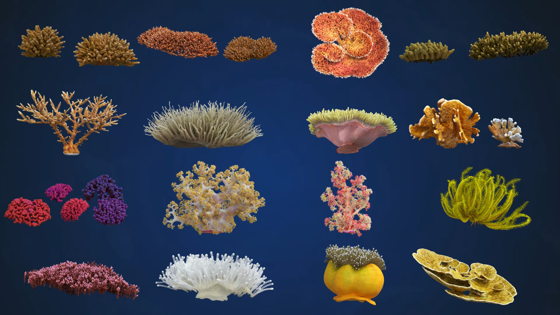 3D Corals Collection https://p.turbosquid.com/ts-thumb/Q9/Rk1WMB/yJ/ju0l521a0_coralscollection/jpg/1671973763/1920x1080/turn_fit_q99/13cdc00bf30279e8cd2c19ec93fb9e81afa8b691/ju0l521a0_coralscollection-1.jpg