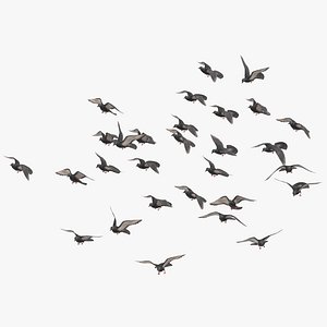 3D model flock flying medium 03