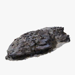 Assembly Ground Rock 24 StemCell