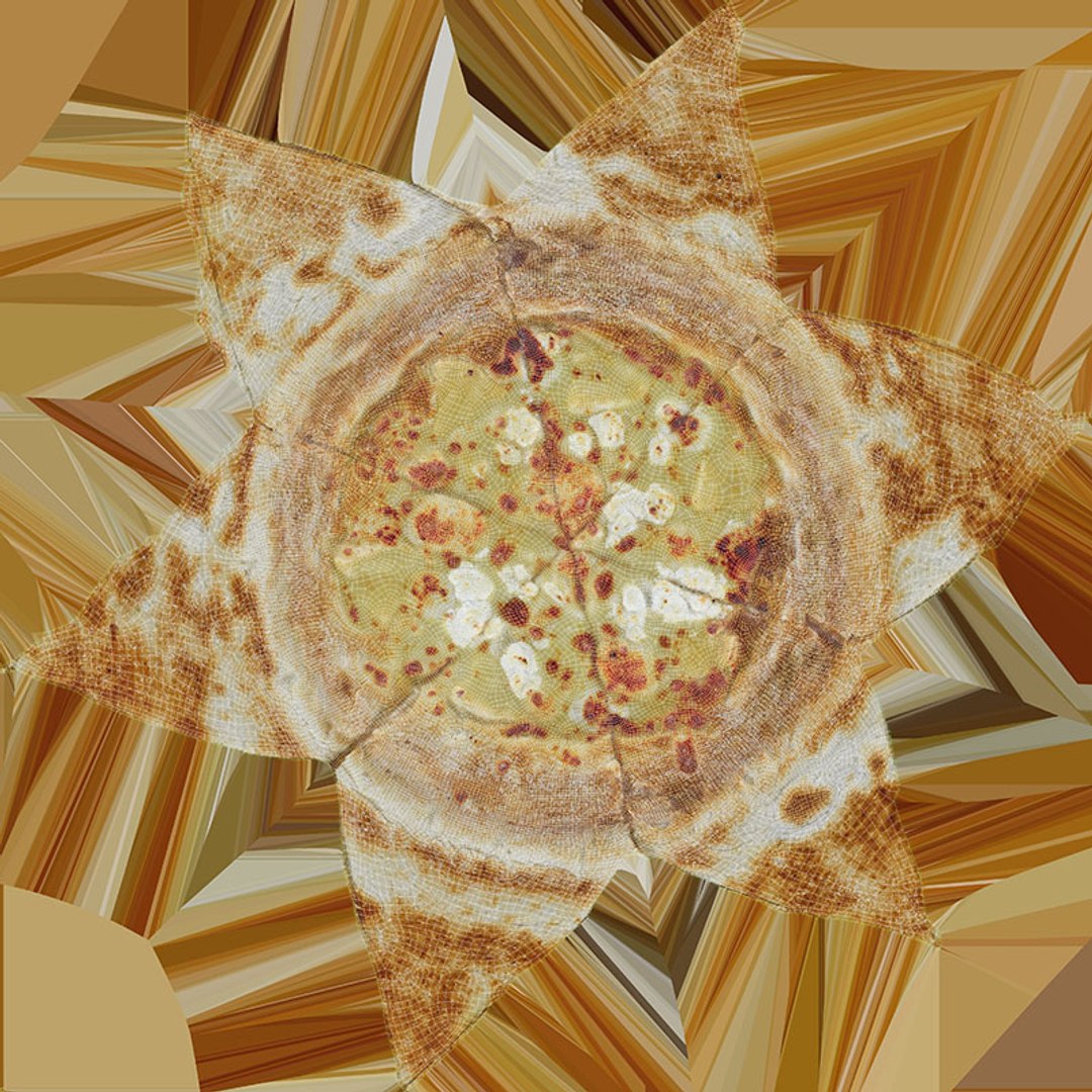 Four Cheese Pizza Collection model https://p.turbosquid.com/ts-thumb/Q9/b0dw5M/vE/4cheesepizza_d0004/jpg/1744791473/1920x1080/fit_q87/91d81f90c7a9d120994ca45110be2cc4370055b9/4cheesepizza_d0004.jpg