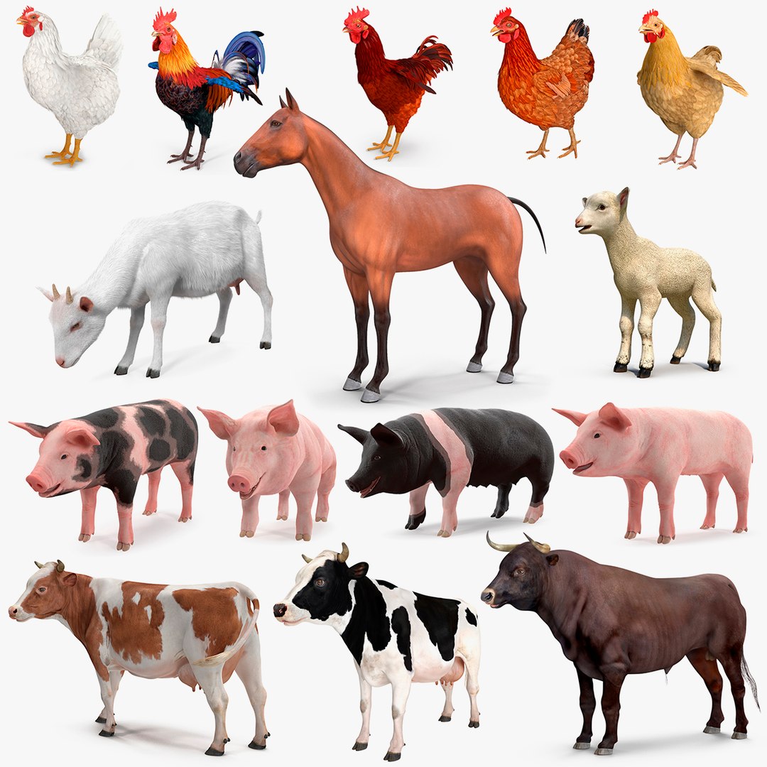 Farm Animals Big Collection 3 3D model preview