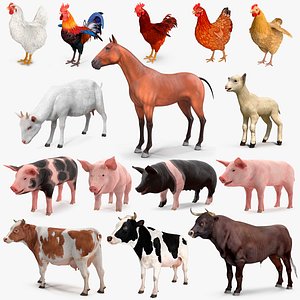 Farm Animals Big Collection 3