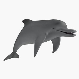 Dolphin