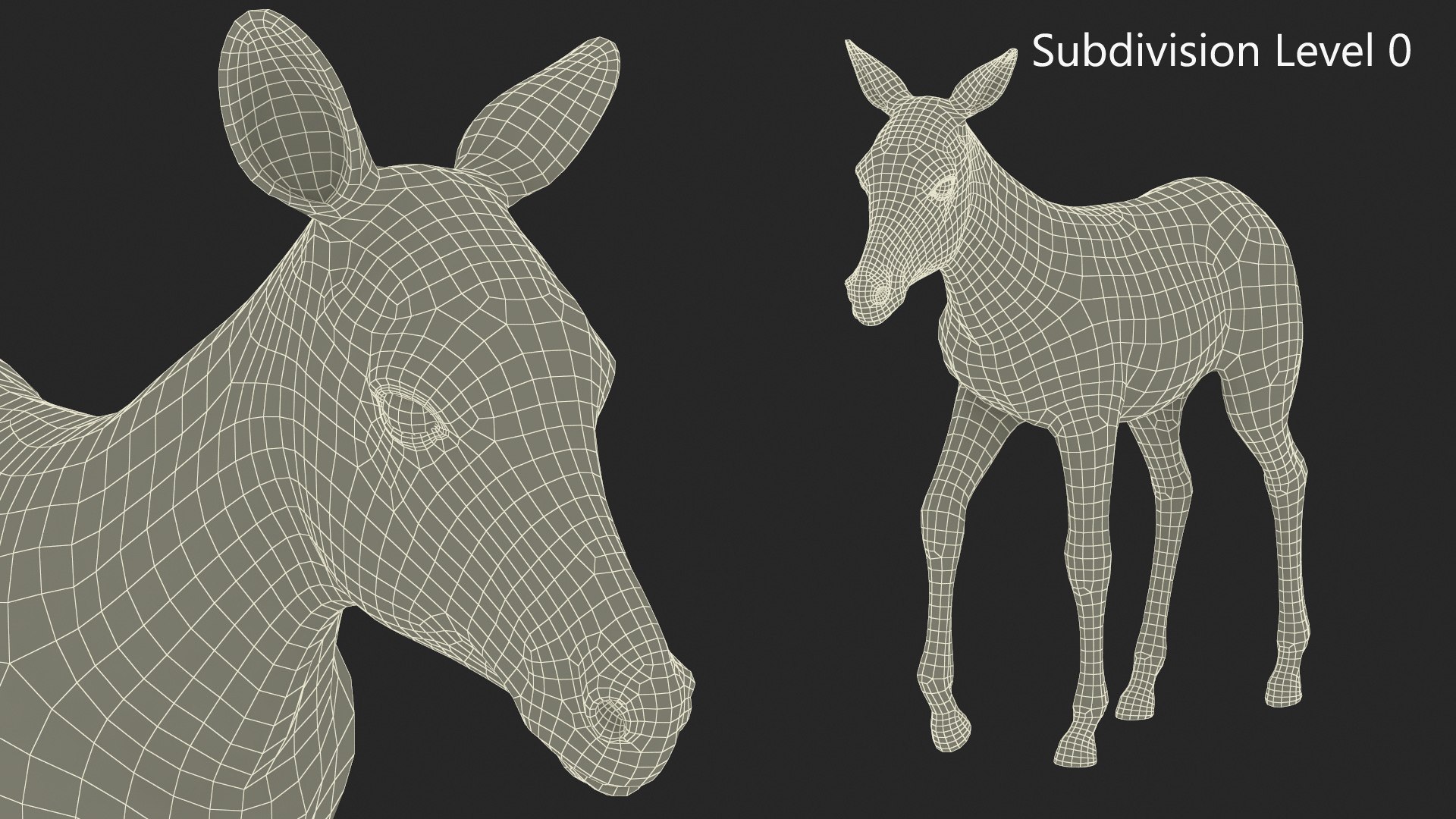 Zebra Foal Walking Fur 3D model https://p.turbosquid.com/ts-thumb/Q9/x3MuVR/fH/zebra_foal_walking_fur_012/jpg/1740715777/1920x1080/fit_q87/8130d2478bc0882a29e4da5f0ebcb825622dd4b4/zebra_foal_walking_fur_012.jpg