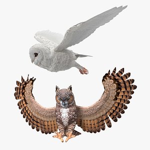 Owls Rigged Collection