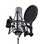 Studio Microphone 3D Model