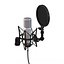 Studio Microphone 3D Model
