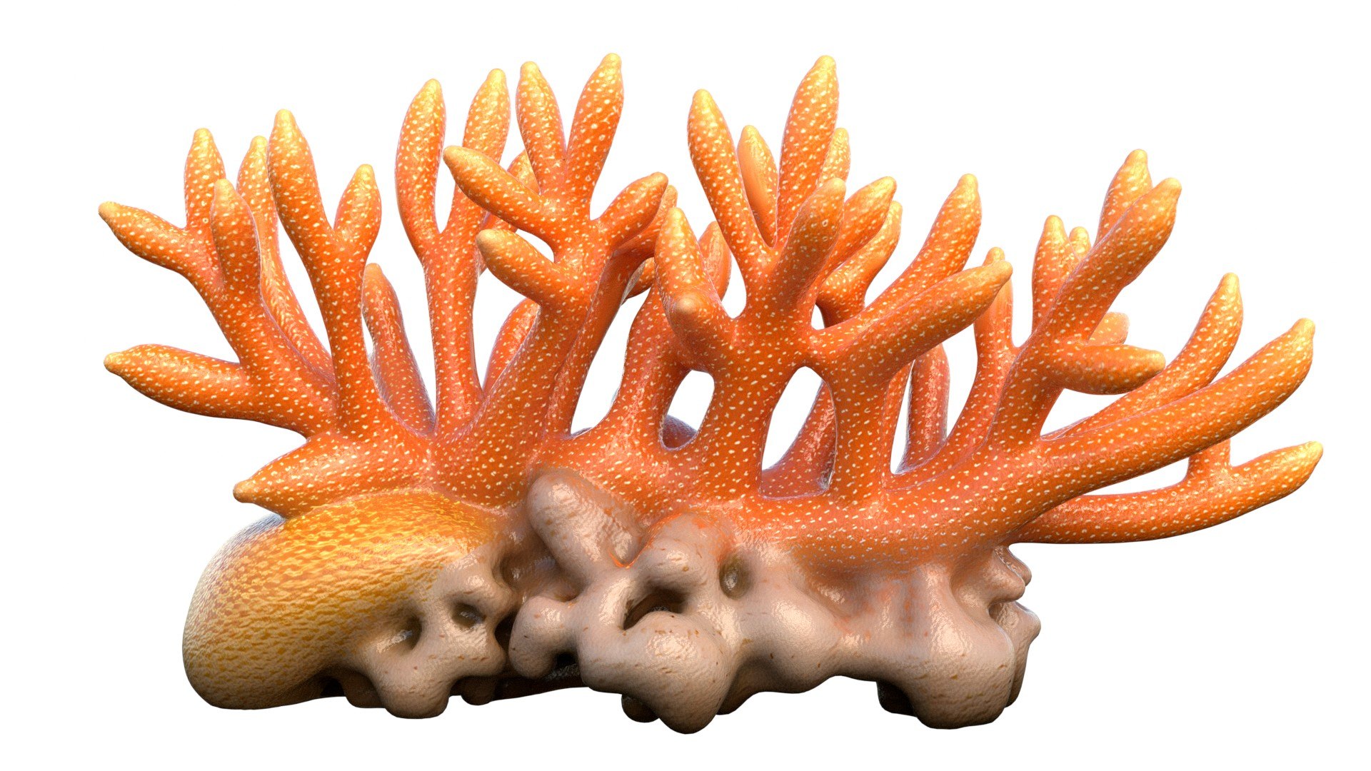 Coral Reef Collection 1-10 3D Model - TurboSquid 2457402