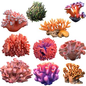 Coral reef collection 1-10 3D model
