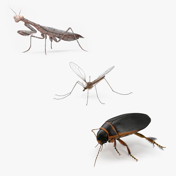 3D Insects Collection