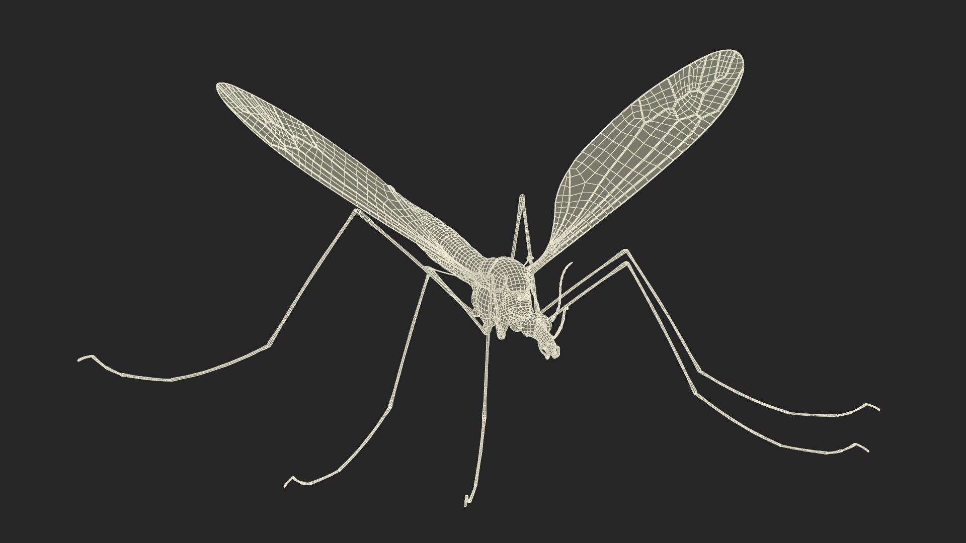 3D Insects Collection https://p.turbosquid.com/ts-thumb/QA/MN61xa/y4/insects_collection_041/jpg/1720587771/1920x1080/fit_q87/ba02e6b0023508edbc275a627d112c19142d7359/insects_collection_041.jpg