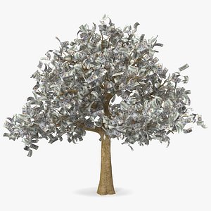 Money Tree with Dollar Bills