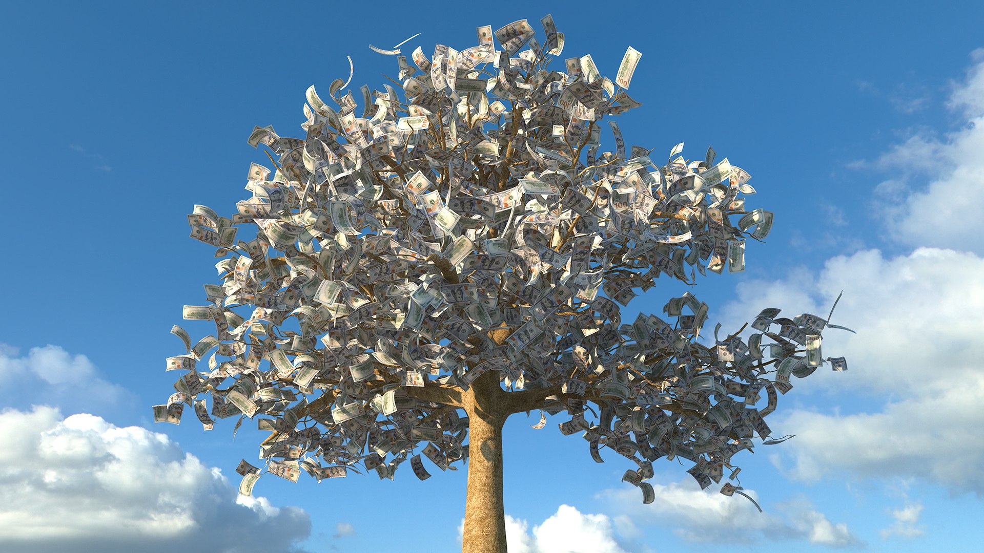 money tree dollar bills 3D model https://p.turbosquid.com/ts-thumb/QA/MWb3ol/VKG38E09/moneytreewithdollarbillsvray3dmodel005/jpg/1587524947/1920x1080/fit_q87/bdf801163b5774110296fee0fde6b4ad7ed246b3/moneytreewithdollarbillsvray3dmodel005.jpg
