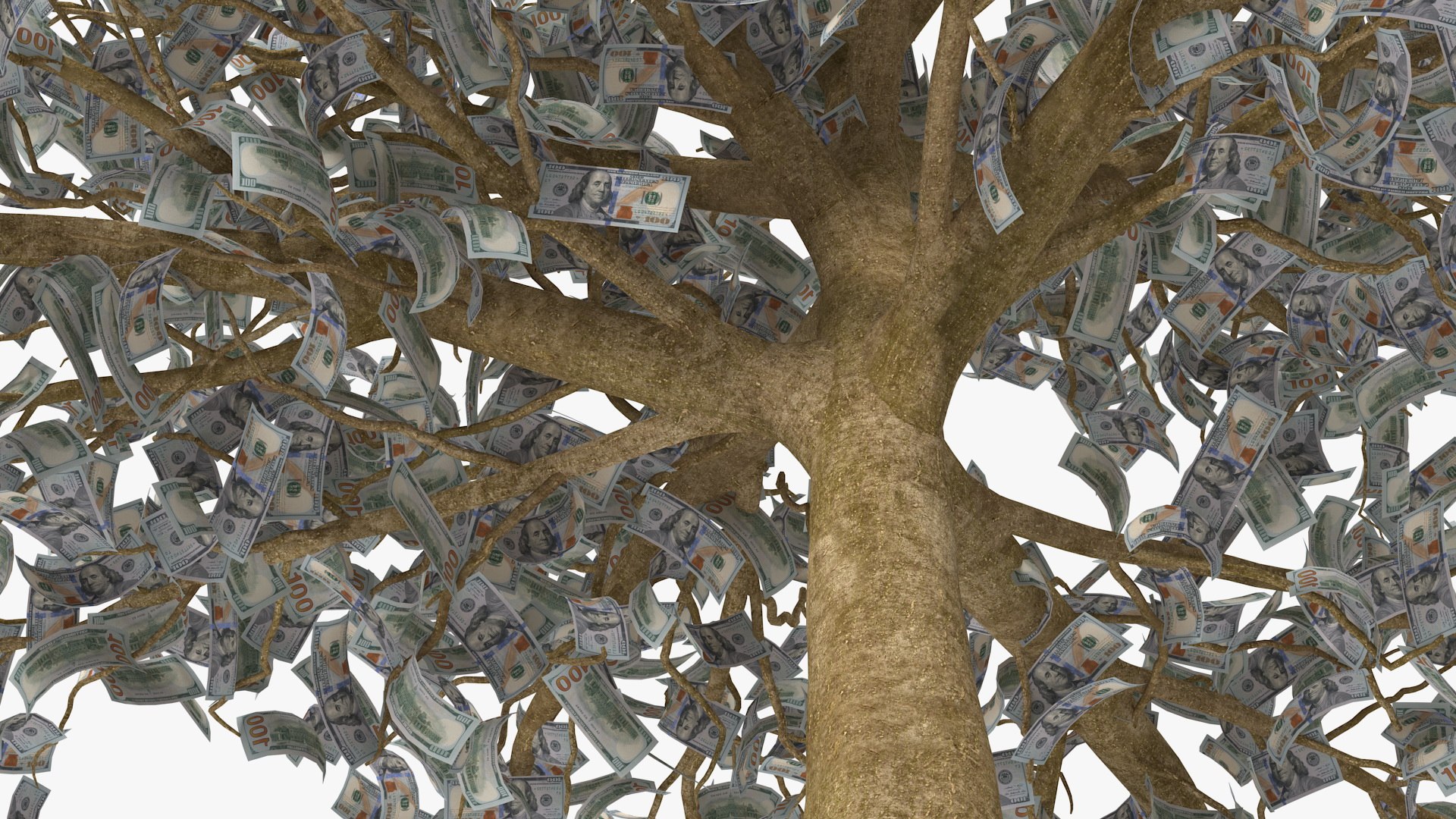 money tree dollar bills 3D model https://p.turbosquid.com/ts-thumb/QA/MWb3ol/gc5IXcGk/moneytreewithdollarbillsvray3dmodel008/jpg/1587524961/1920x1080/fit_q87/882fdc7c5997df1dc8d9f83005ec7f947000079b/moneytreewithdollarbillsvray3dmodel008.jpg