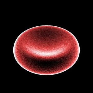 Blood Cell 1