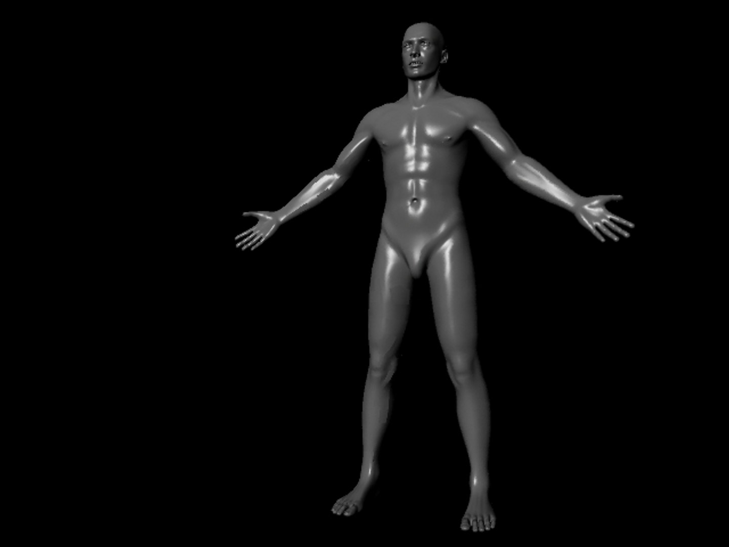 3ds Entire Human Body