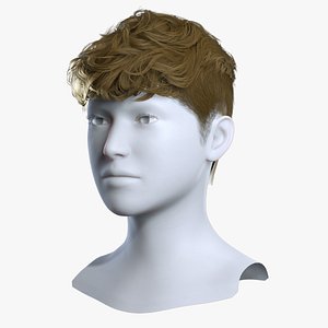 3D Modern Men Short Curly Crop Hair with Taper Fade - Game Ready model