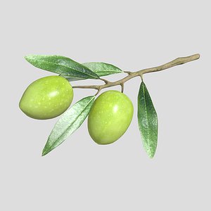 Fruit Olive 02 Low Poly