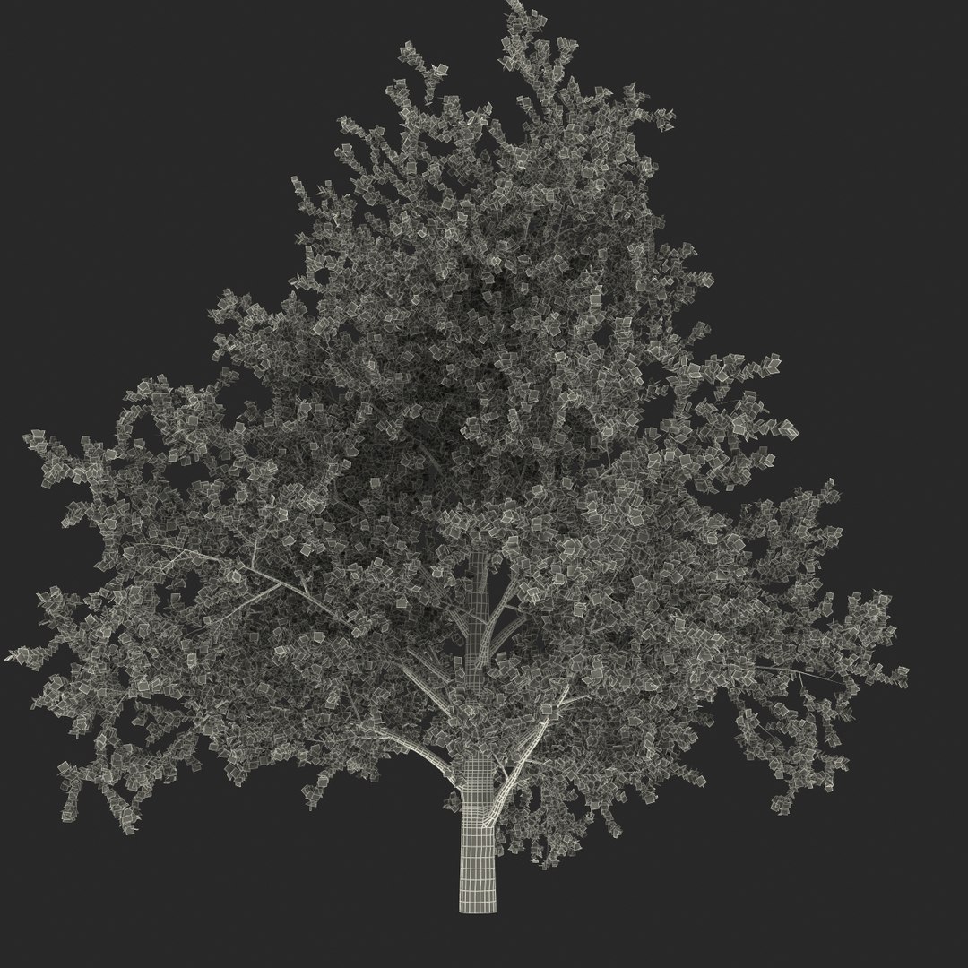 platanus tree c4d https://p.turbosquid.com/ts-thumb/QA/ounISA/2JuL7DoG/platanustree_29/jpg/1390371160/1920x1080/fit_q87/53af875a82491533edf961f6d696b0119fd143c1/platanustree_29.jpg